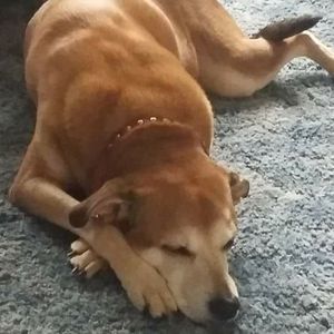 Meet your Posher, Mary